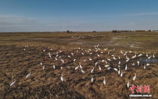 10��16�����ڼ���ĪĪ����Ҽ���Ȼ���o�^(q��)��(n��i)���Q����Ϣ��(�o�˙C��Ƭ)�w��� �z