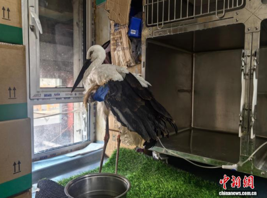 �܂��Ė|�����X���ڽ����ί�����ʯ���� �z