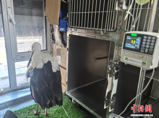 �܂��Ė|�����X���ڽ���ݔҺ�ί�����ʯ���� �z