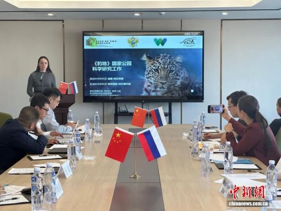 ���_˹���ҷ������o�|������(j��ng)�������� �z