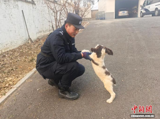 ���Ҳ������c�[�����B(y��ng)�H�ܶ�����ʯ���� �z