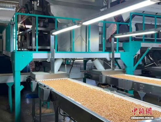 �������a(ch��n)����(�L�����P(gu��n)���D)