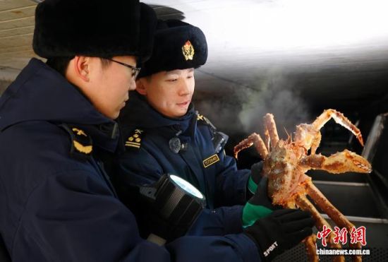 �L�����P(gu��n)���٬q�����P(gu��n)�P(gu��n)�T���M(j��n)�ڵ���з�_չ��򞹤�����̽��V �z