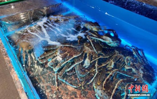 ���B(y��ng)����ĵ���з����߅��ί������ ���D